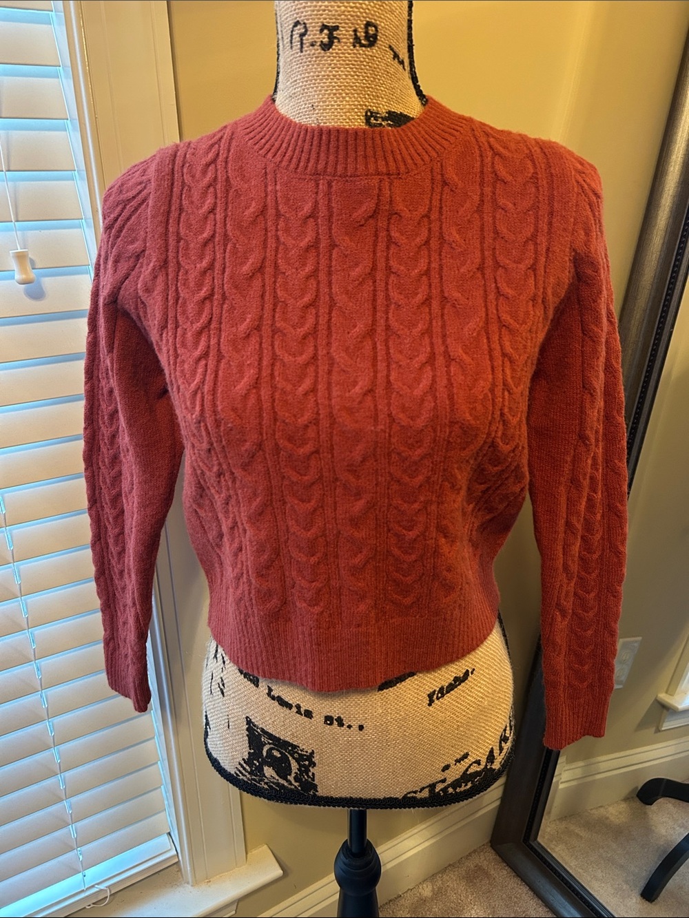 Love Tree Cropped Cable Crewneck Sweater in Rust